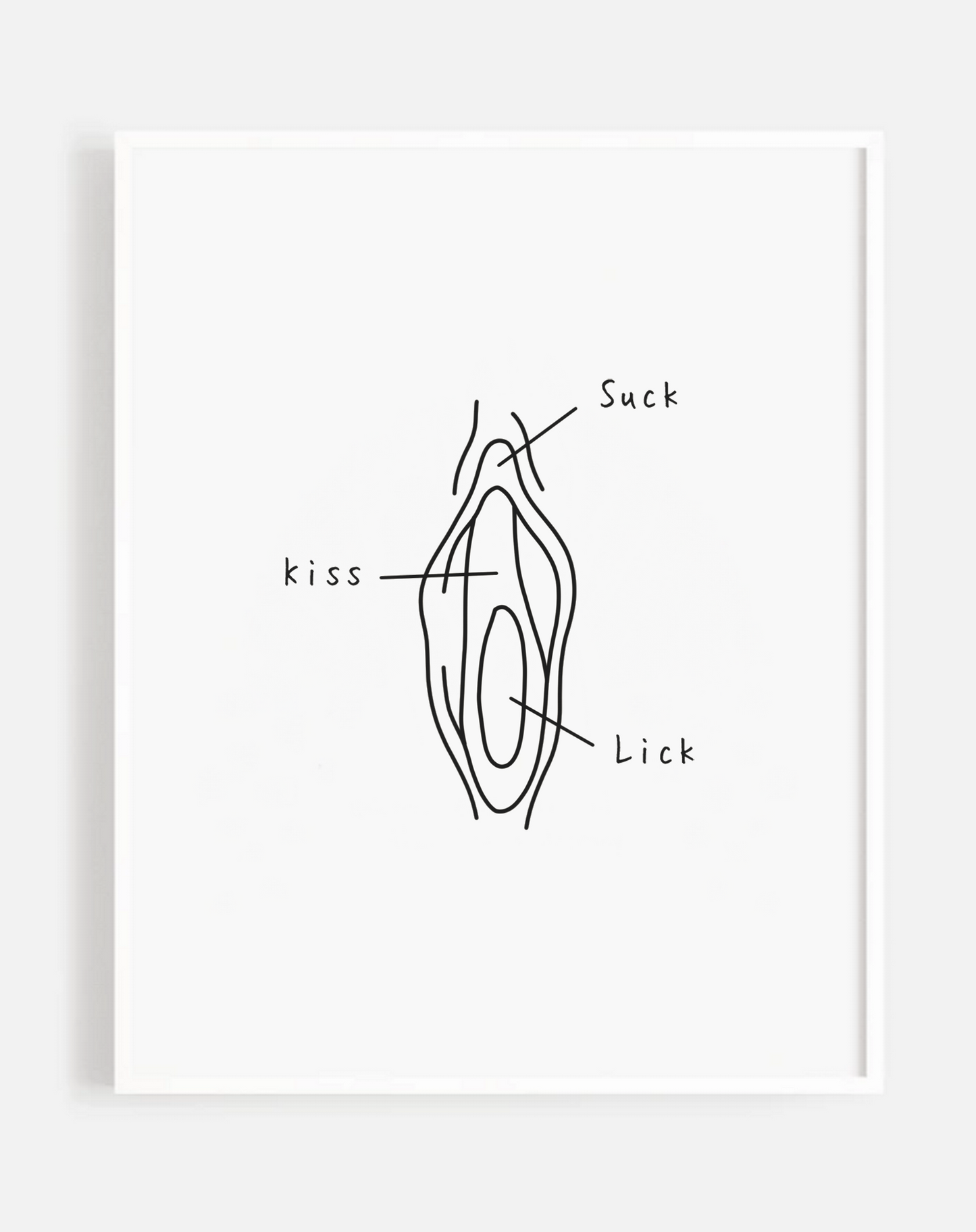 Vulva Guide Print/Poster